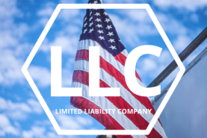 LIMITED LIABILITY COMPANY