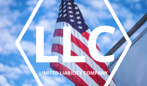 LIMITED LIABILITY COMPANY